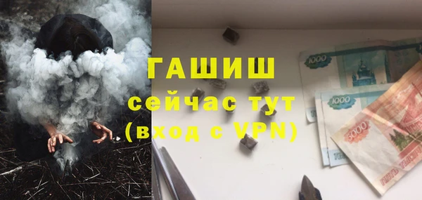 молекула духа Арсеньев