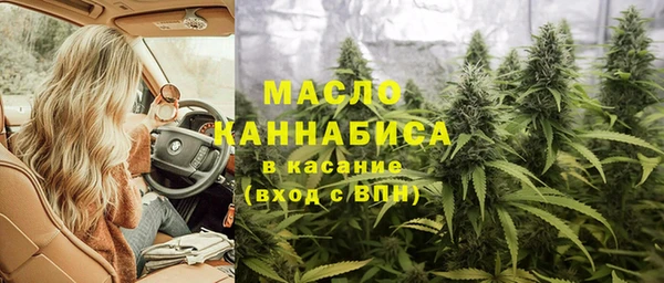 молекула духа Арсеньев