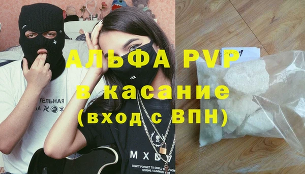 молекула духа Арсеньев