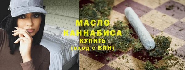 молекула духа Арсеньев