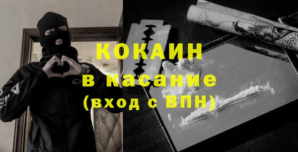 молекула духа Арсеньев